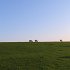 IMG_0730