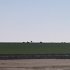 IMG_0824