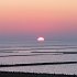 IMG_0924