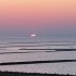 IMG_0931
