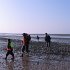 IMG_0961