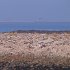IMG_1011