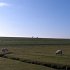 IMG_1019