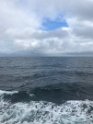 IMG_1084