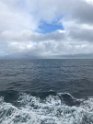IMG_1087