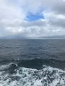 IMG_1088
