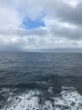 IMG_1089
