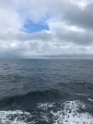 IMG_1090
