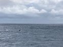 IMG_1370