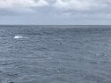 IMG_1371