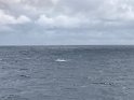 IMG_1373