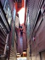 IMG_1474