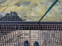 IMG_1724