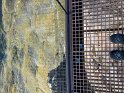 IMG_1725