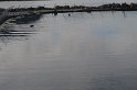 DSC_9438