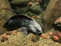 IMG_1866