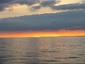 IMG_0307