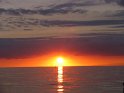 IMG_0317