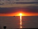 IMG_0319