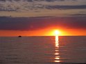 IMG_0320