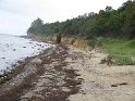 IMG_0337
