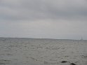 IMG_0338