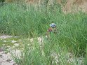 IMG_0343