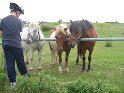 IMG_0364