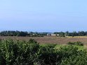 IMG_0323