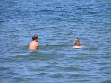 IMG_0332
