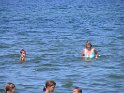 IMG_0334