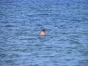 IMG_0341