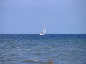 IMG_0371
