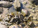 IMG_0392