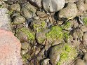 IMG_0394