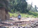 IMG_0396