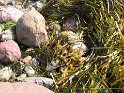 IMG_0398