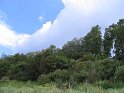 IMG_0413