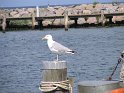 IMG_0419