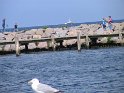 IMG_0426