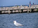 IMG_0427