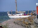 IMG_0429