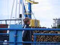IMG_0439