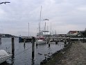 IMG_0469