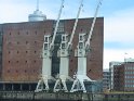 IMG_0219