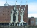 IMG_0220