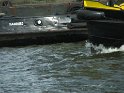 IMG_0250