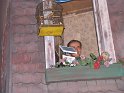 IMG_0445