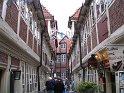 IMG_0520