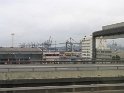 IMG_0546